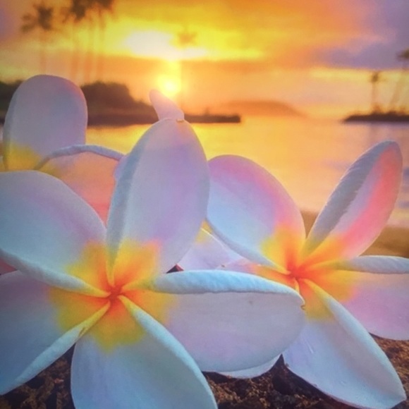 Meet your Posher, Gloria - Picture 1 of 13